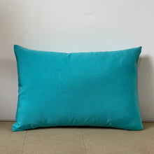 Load image into Gallery viewer, Sunbrella Pop Lumbar Pillow in Aruba
