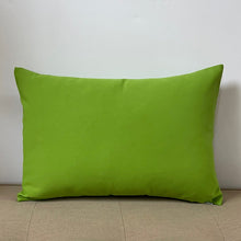 Load image into Gallery viewer, Sunbrella Pop Lumbar Pillow in Macaw
